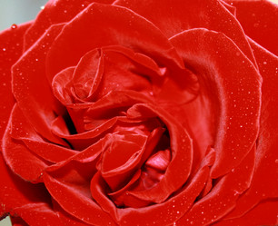 Similar image 914336