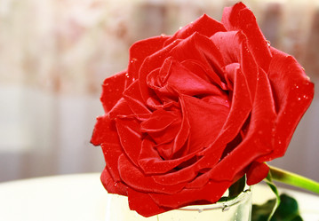 Similar image 914337