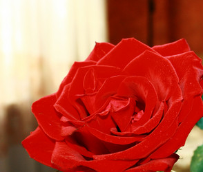 Similar image 914339