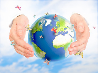 Similar image 914442