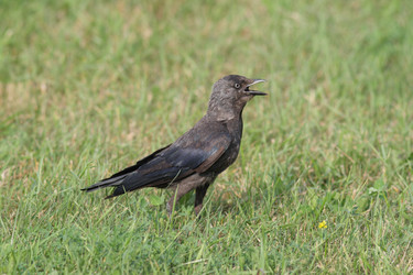 Similar image 914495