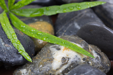 Similar image 914825