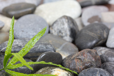 Similar image 914832