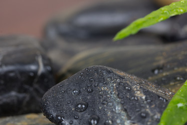 Similar image 914833