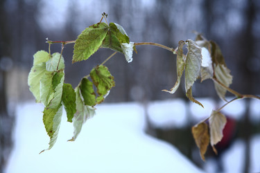 Similar image 914882