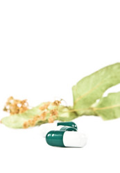 Similar image 914911