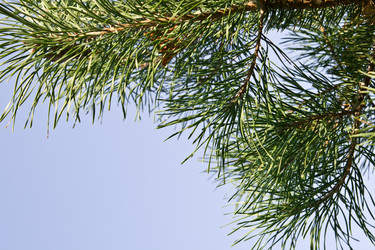 Similar image 914935