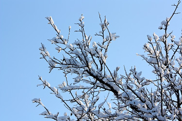 Similar image 914938