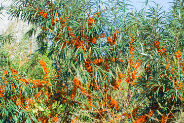 Similar image 915087