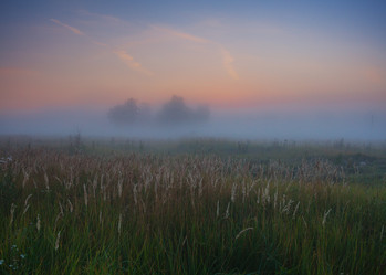 Similar image 915169