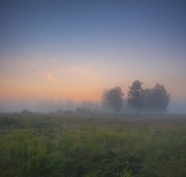 Similar image 915198