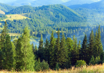 Similar image 915220