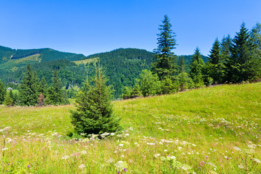 Similar image 915232