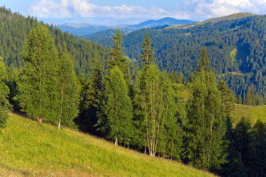 Similar image 915235