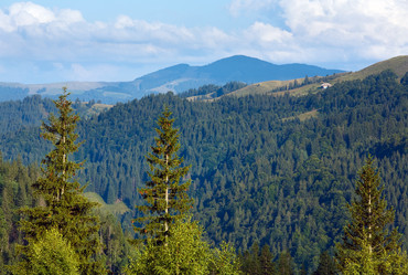 Similar image 915238