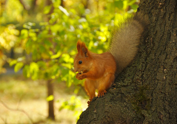 Similar image 915249