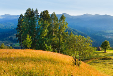 Similar image 915274