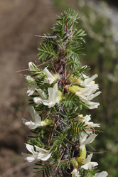 Similar image 915289