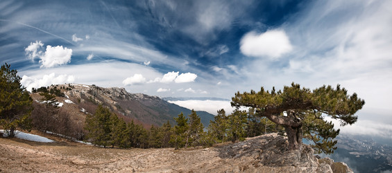 Similar image 915428