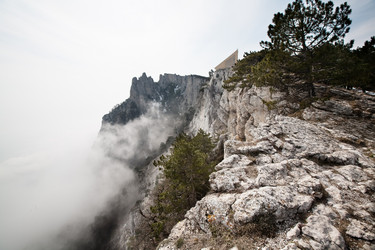 Similar image 915478