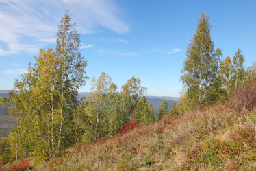 Similar image 915490