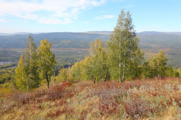 Similar image 915494