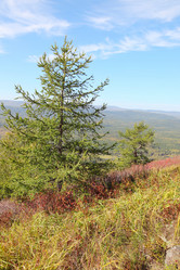 Similar image 915497