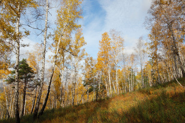 Similar image 915499