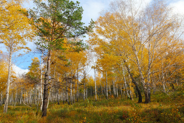 Similar image 915501