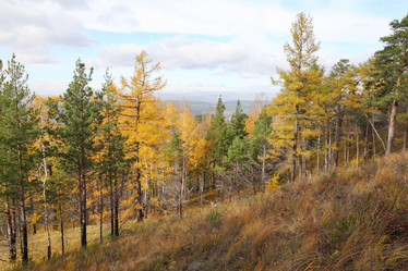 Similar image 915502