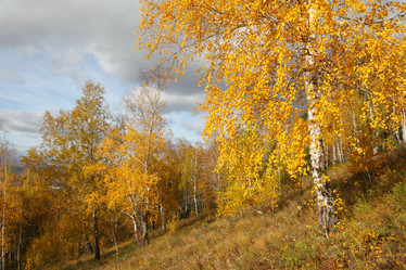 Similar image 915503