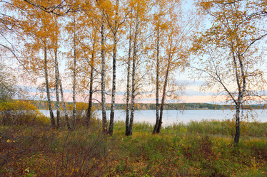 Similar image 915508