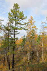 Similar image 915512