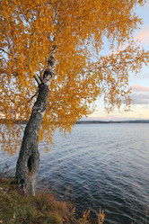 Similar image 915515