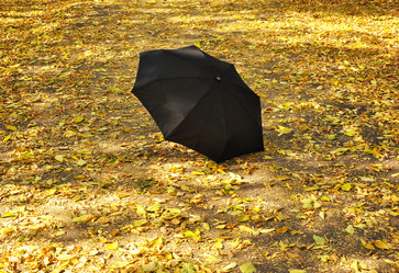 Similar image 915565