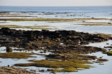 Similar image 915639