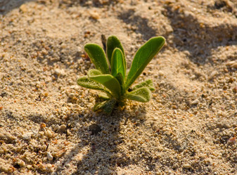 Similar image 915643