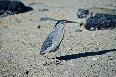 Similar image 915644