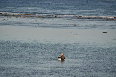 Similar image 915646