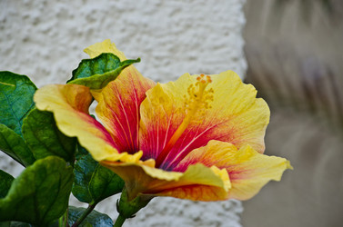 Similar image 915650