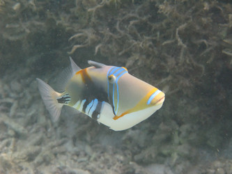 Similar image 915653