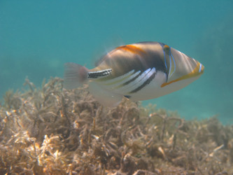 Similar image 915655