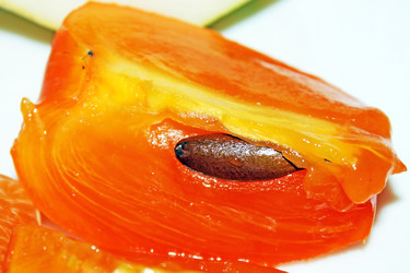 Similar image 915790