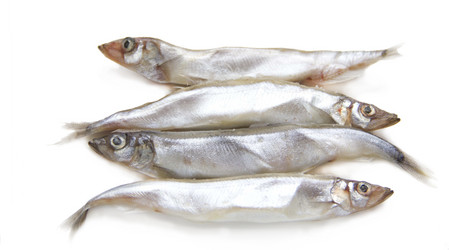 Similar image 915836