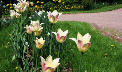 Similar image 915984