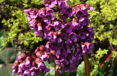 Similar image 915987