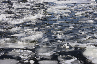 Similar image 915989