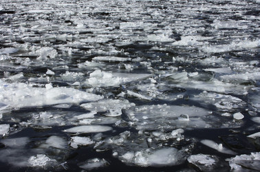 Similar image 915990