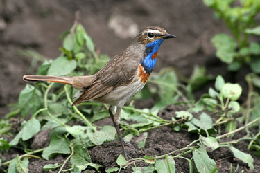 Similar image 916041