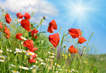 Similar image 916114